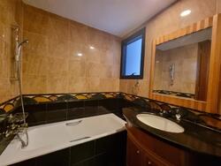 River Place (D3), Condominium #486596071